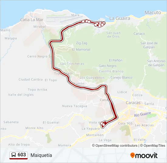 603 Bus Line Map
