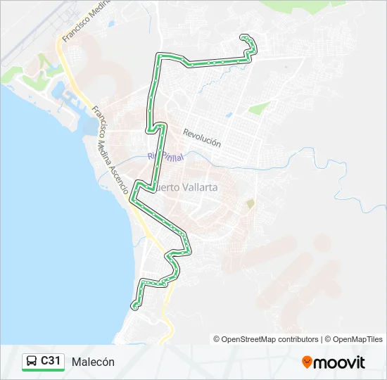 C31 Bus Line Map