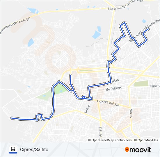 AZUL Bus Line Map