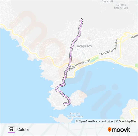 FOVISSSTE - CALETA Bus Line Map