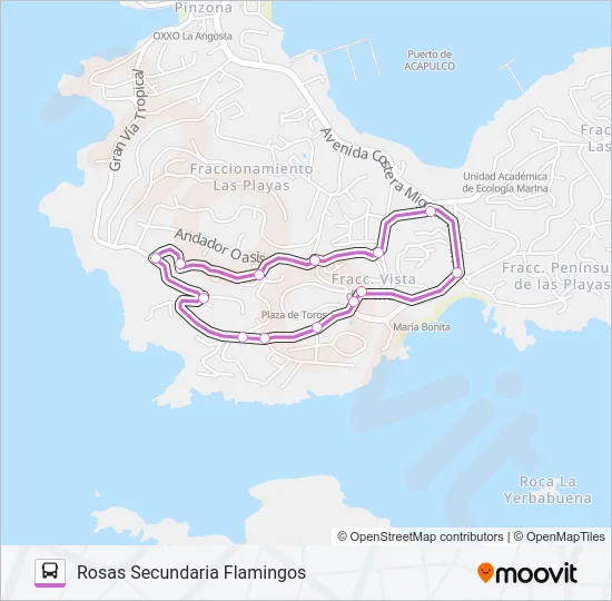 ROSAS FLAMINGOS Bus Line Map