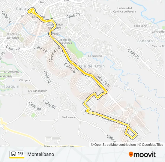 19 Bus Line Map