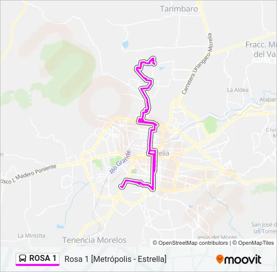 ROSA 1 Bus Line Map