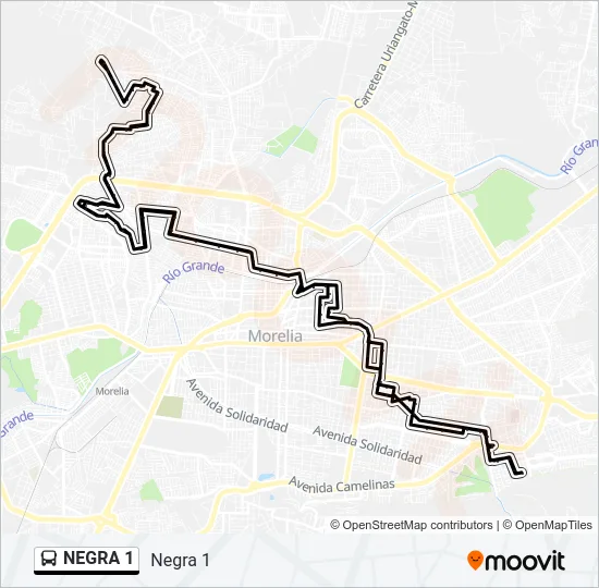 NEGRA 1 Bus Line Map