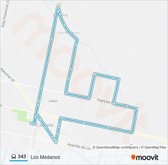 343 Bus Line Map