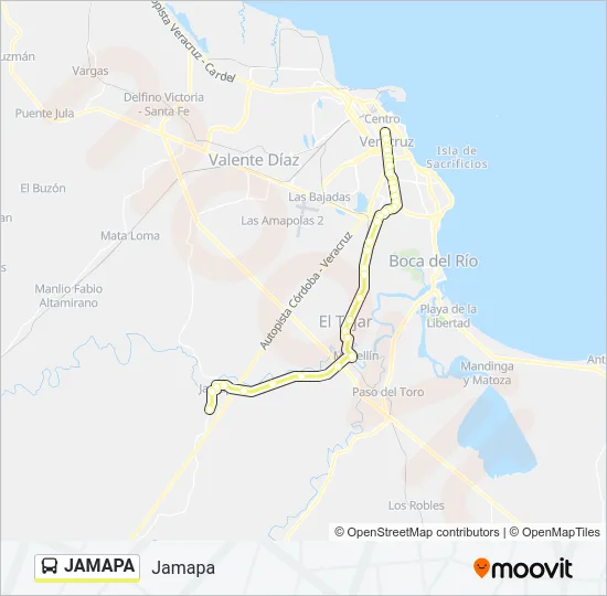 JAMAPA Bus Line Map