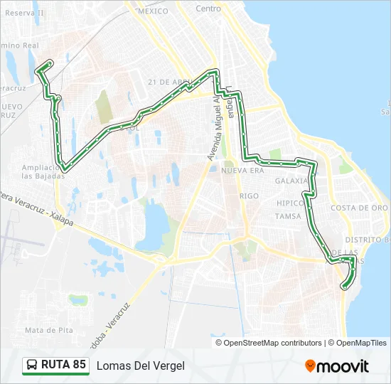 RUTA 85 Bus Line Map