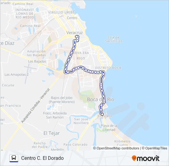 ANTON LIZARDO Bus Line Map