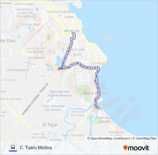 ANTON LIZARDO Bus Line Map
