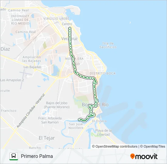 VÍA MUERTA MORRO Bus Line Map