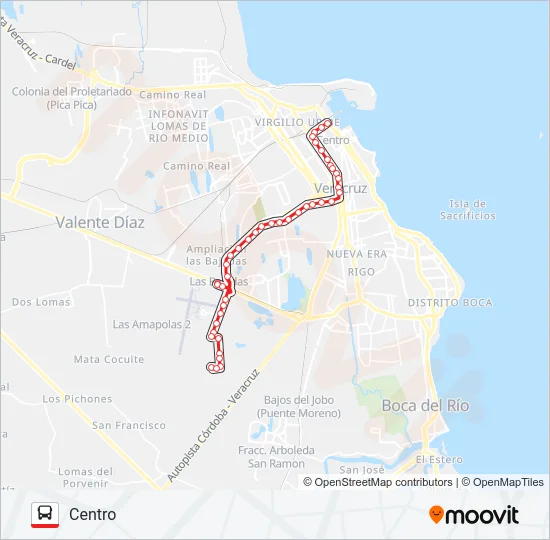 LAGOS DE PUENTE MORENO Bus Line Map