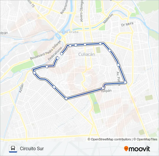 RUTA CIRCUITO SUR Bus Line Map