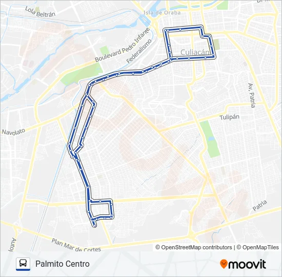 RUTA PALMITO CENTRO Bus Line Map