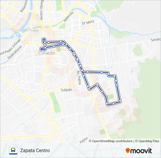 RUTA ZAPATA CENTRO Bus Line Map