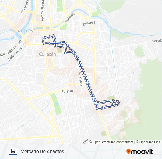 RUTA MERCADO DE ABASTOS Bus Line Map