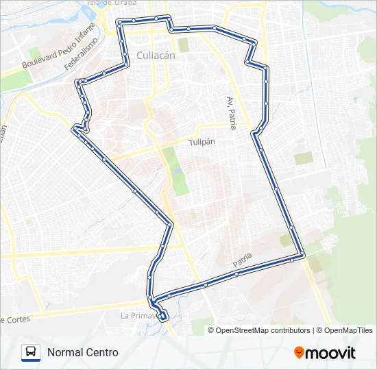RUTA NORMAL CENTRO Bus Line Map