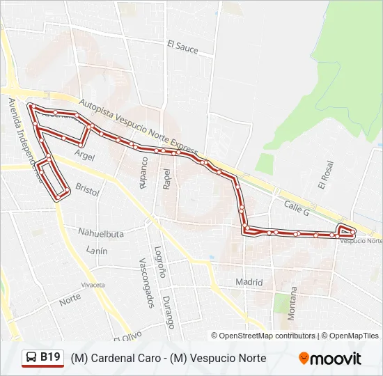 B19 Micro Line Map
