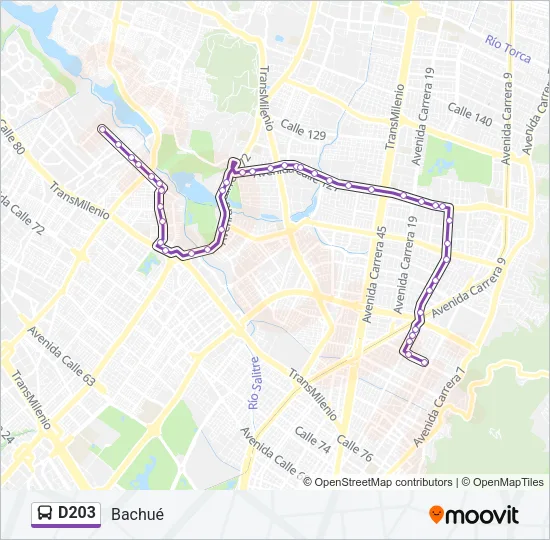 D203 Bus Line Map