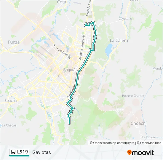 L919 Bus Line Map