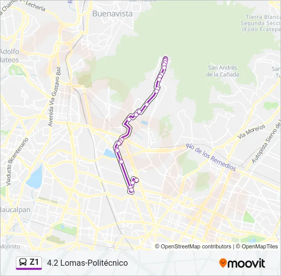 Z1 Bus Line Map