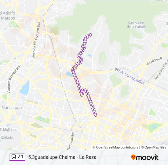 Z1 Bus Line Map