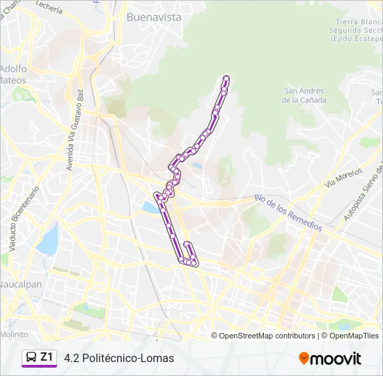 Z1 Bus Line Map