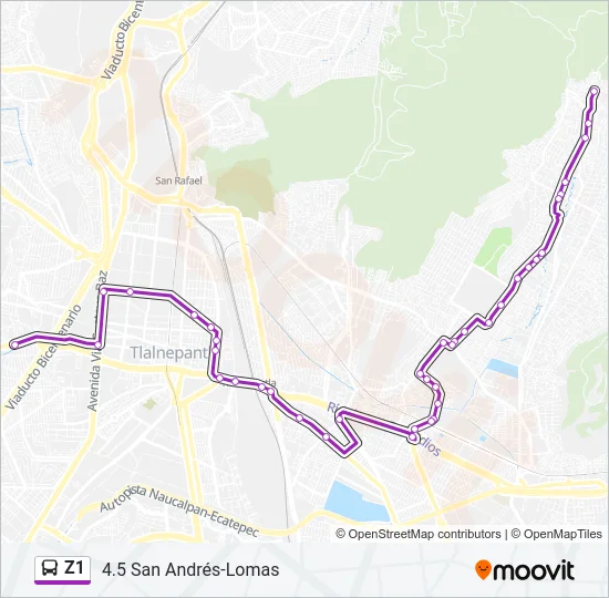 Z1 Bus Line Map