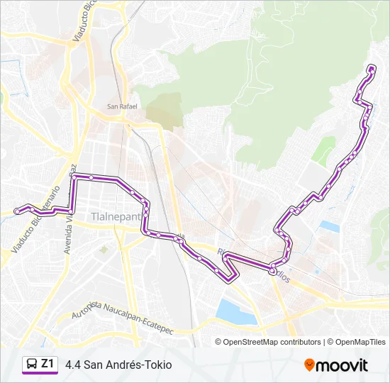 Z1 Bus Line Map