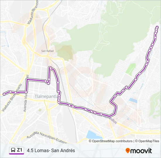 Z1 Bus Line Map
