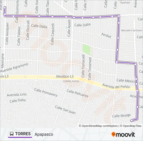 TORRES Bus Line Map