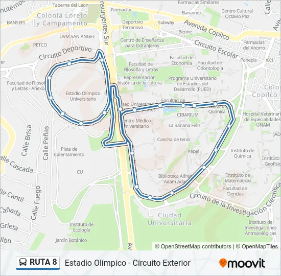 RUTA 8 Bus Line Map