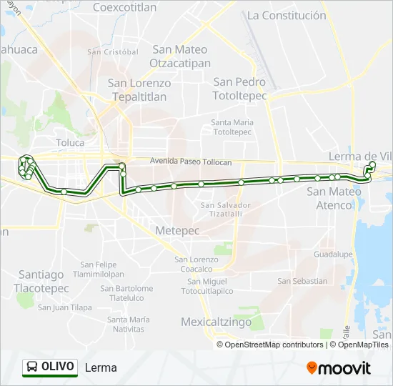 OLIVO Bus Line Map
