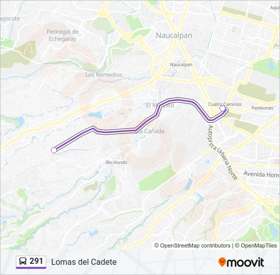 291 Bus Line Map