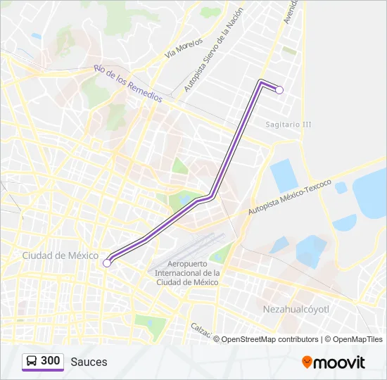 300 Bus Line Map