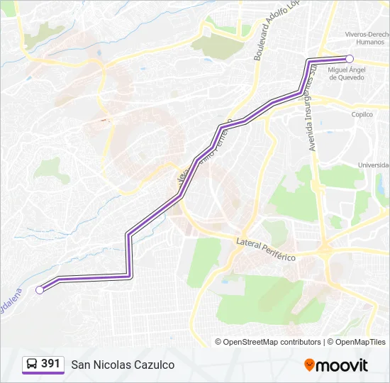 391 Bus Line Map