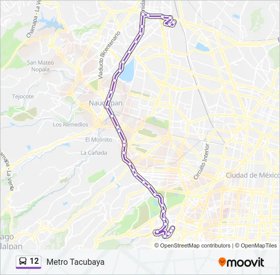 12 Bus Line Map