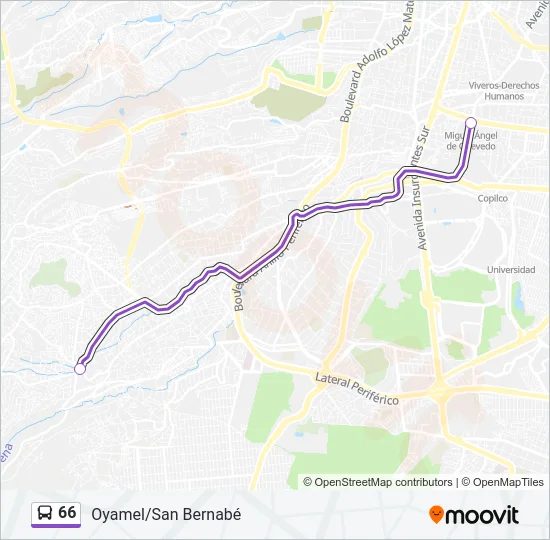 66 Bus Line Map