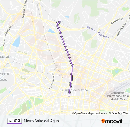 313 Bus Line Map