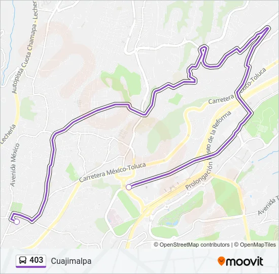 403 Bus Line Map
