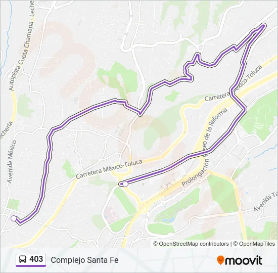 403 Bus Line Map