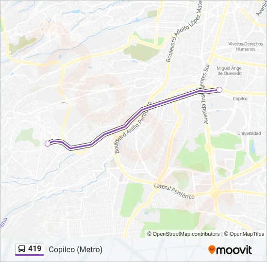 419 Bus Line Map
