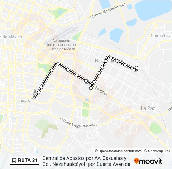 RUTA 31 Bus Line Map