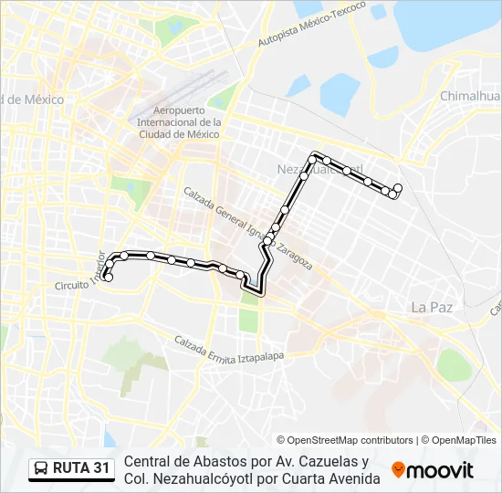RUTA 31 Bus Line Map
