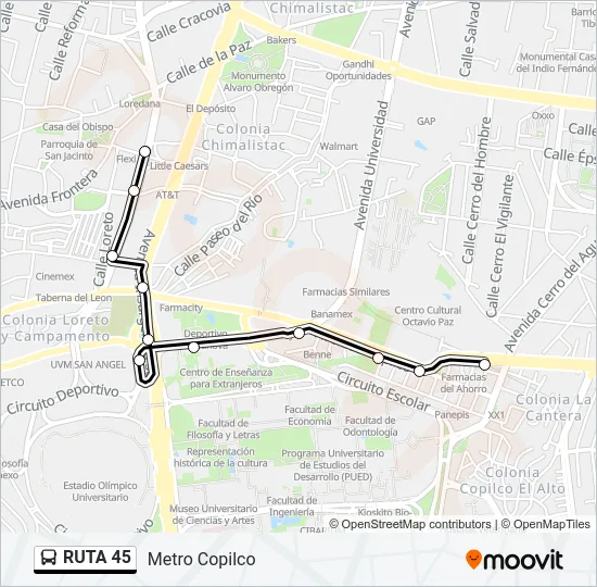 RUTA 45 Bus Line Map