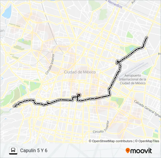 RUTA 100 Bus Line Map