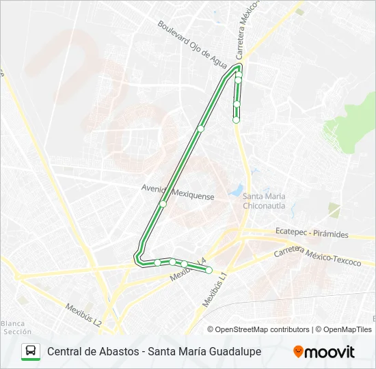 CENTRAL DE ABASTOS - SANTA MARÍA GUADALUPE Bus Line Map