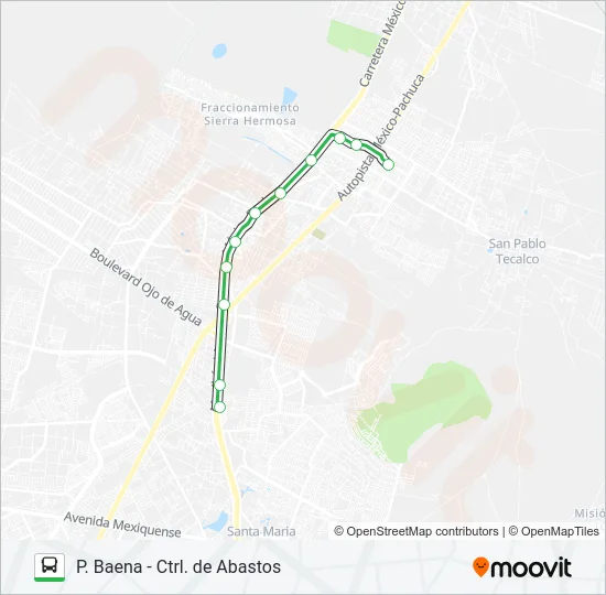 P. BAENA - CTRL. DE ABASTOS Bus Line Map