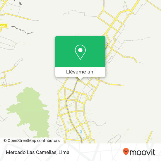 Mapa de Mercado Las Camelias