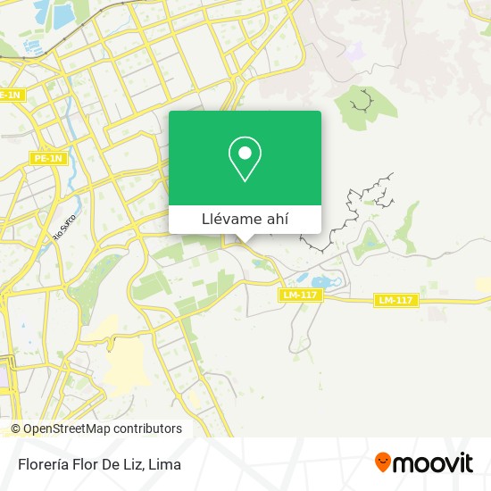 Mapa de Florería Flor De Liz