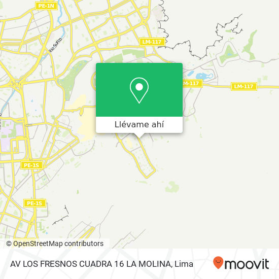 Mapa de AV  LOS FRESNOS CUADRA 16 LA MOLINA